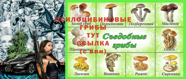 мдма Заводоуковск
