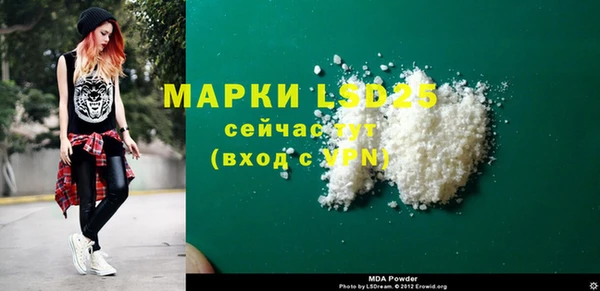 ПСИЛОЦИБИНОВЫЕ ГРИБЫ Заволжье