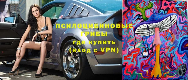 соль ск Зеленодольск