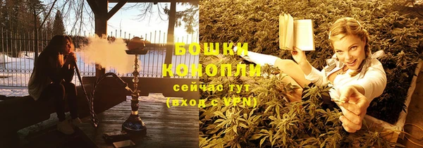 ПСИЛОЦИБИНОВЫЕ ГРИБЫ Заволжье