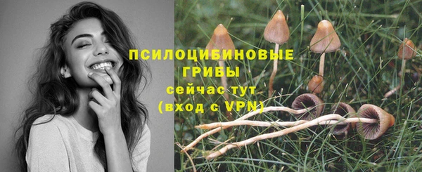 ПСИЛОЦИБИНОВЫЕ ГРИБЫ Заволжье