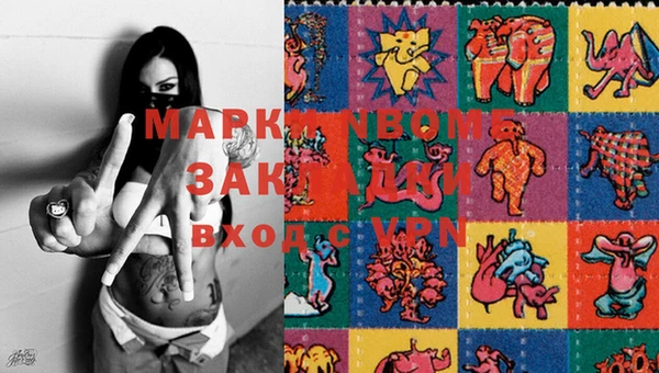 ПСИЛОЦИБИНОВЫЕ ГРИБЫ Заволжье