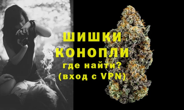 молекула духа Заволжск